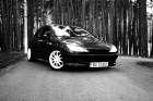 cadar_octavian66