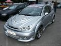 Click image for larger version

Name:	Peugeot_206___IV_Maxi_Tuning_Show_2.jpg
Views:	449
Size:	47.4 KB
ID:	901705