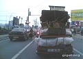 Click image for larger version

Name:	S-a_mutat_un_oltean_in_Bucuresti.jpg
Views:	187
Size:	36.0 KB
ID:	902921