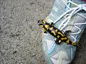 Click image for larger version

Name:	salamandra _ Crint.jpg
Views:	149
Size:	165.3 KB
ID:	909902