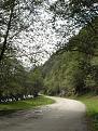 Click image for larger version

Name:	valea Sadului (din Sibiu ajungi la Valcea).jpg
Views:	135
Size:	147.6 KB
ID:	909903