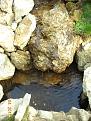 Click image for larger version

Name:	DSCN0686.jpg
Views:	142
Size:	70.3 KB
ID:	937108